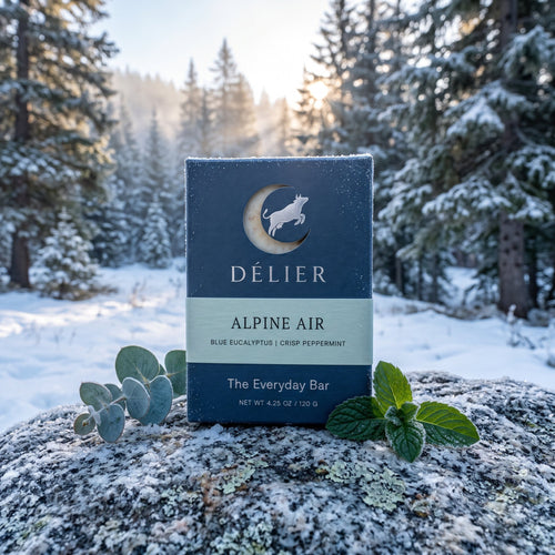 Alpine Air soap box on a frosty rock in a snowy pine forest