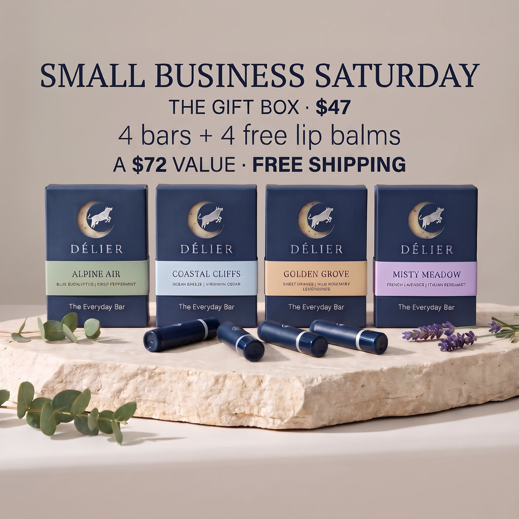 The Gift Box: 4 bars and 4 free lip balms, a $72 value for $47, free shipping